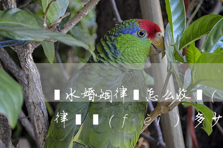 麗水婚姻律師怎么收費(fèi)(婚姻官司律師費(fèi)多少錢)
