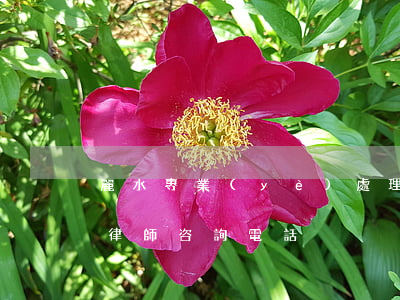 麗水專業(yè)處理逾期律師哪家好(麗水律師咨詢電話)