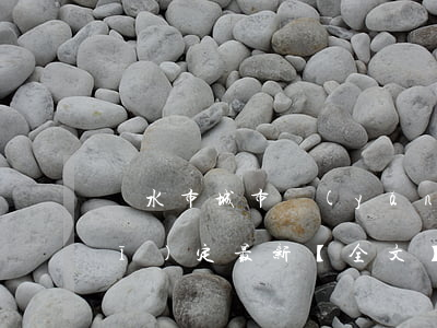 麗水市城市養(yǎng)犬管理規(guī)定最新【全文】