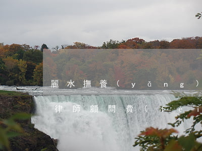 麗水撫養(yǎng)權(quán)糾紛律師顧問費(fèi)