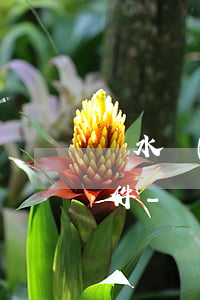 麗水網(wǎng)貸逾期停息分期申請條件-麗水網(wǎng)貸逾期停息分期申請條件是什么