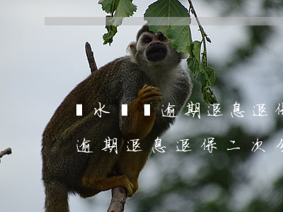 麗水網貸逾期退息退保二次分期-麗水網貸逾期退息退保二次分期怎么辦