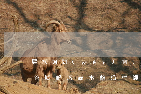 麗水詢問(wèn)個(gè)人逾期律師答疑解惑(麗水離婚律師咨詢)