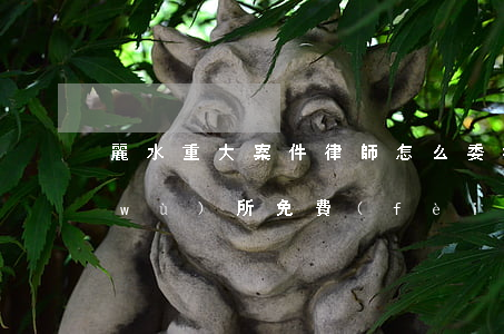 麗水重大案件律師怎么委托(麗水律師事務(wù)所免費(fèi)咨詢)