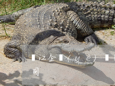 麗江企業(yè)債務糾紛律師(麗江催債公司)