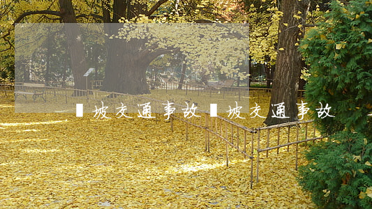 麥坡交通事故(麥坡交通事故)