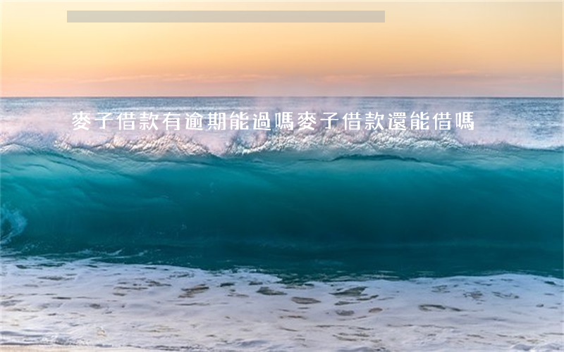 麥子借款有逾期能過嗎(麥子借款還能借嗎)