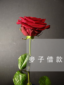 麥子借款逾期多久會起訴