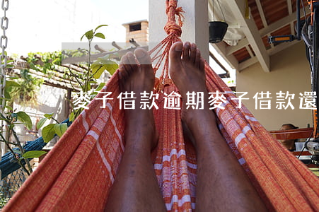 麥子借款逾期(麥子借款還能下款嗎)