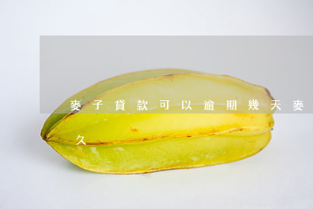 麥子貸款可以逾期幾天(麥麥分期逾期催收多久)