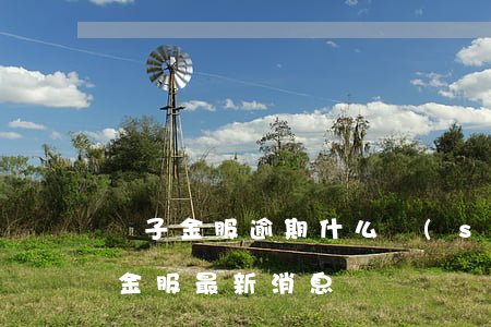 麥子金服逾期什么時(shí)候更正(麥子金服最新消息)