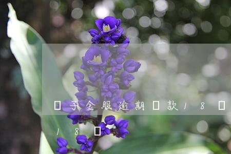 麥子金服逾期還款18萬(麥子金服逾期還款18萬)