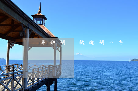 麥芽分期貸款逾期一年