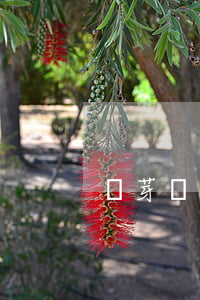 麥芽貸逾期1500天-麥芽貸無法還款