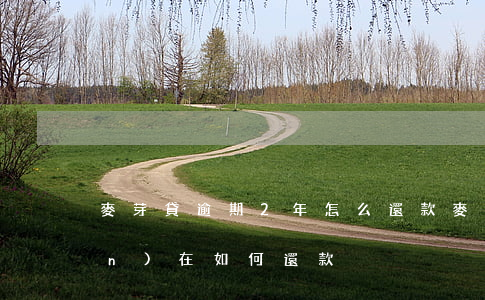麥芽貸逾期2年怎么還款(麥芽貸現(xiàn)在如何還款)
