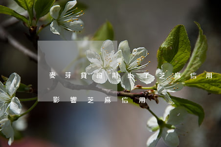 麥芽貸逾期上了芝麻信用怎么申訴-麥芽貸影響芝麻信用