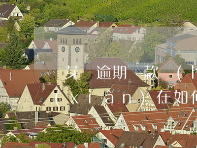 麥芽貸逾期還款會(huì)怎樣(麥芽貸現(xiàn)在如何還款)