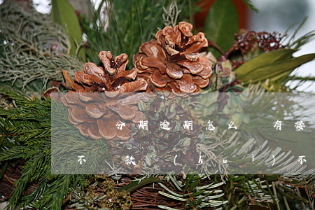 麥麥分期逾期怎么沒有接到電話-麥麥分期不還款會(huì)不會(huì)被爆通訊錄