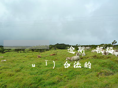 麥麥樂購逾期會被起訴(麥麥樂購是正規(guī)合法的嗎)