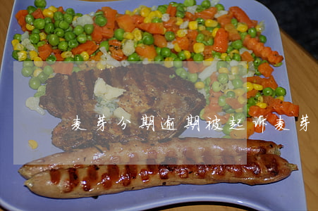 麦芽分期逾期被起诉(麦芽分期无法还款)