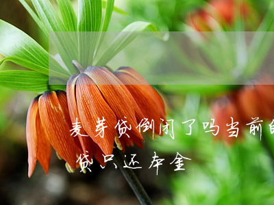 麦芽贷倒闭了吗?当前的情况有些复杂!（麦芽贷只还本金）