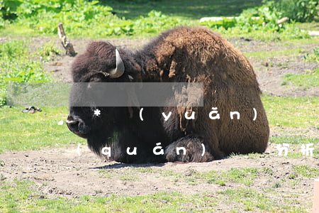 黃*遠(yuǎn)訴張*清其它特殊侵權(quán)糾紛分析