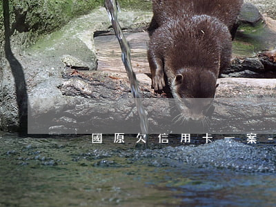 黃國原欠信用卡一案-黃國武簡介