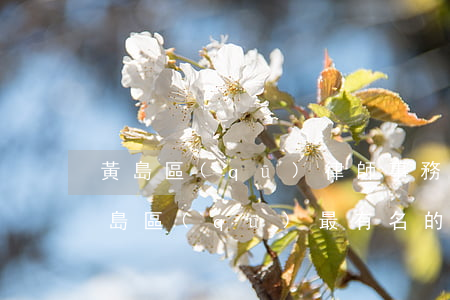 黃島區(qū)律師事務(wù)所排名(黃島區(qū)最有名的律師事務(wù)所)