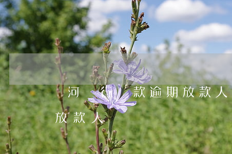 黃河銀行貸款逾期放款人(黃河銀行貸款逾期放款人)