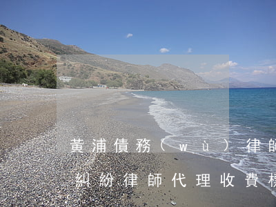 黃浦債務(wù)律師代理費(債務(wù)糾紛律師代理收費標準)