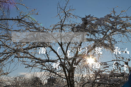 黃浦區(qū)被繼承人債務(wù)清償糾紛律師-黃浦區(qū)被繼承人債務(wù)清償糾紛律師電話