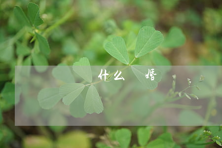 黃瀾為什么離婚