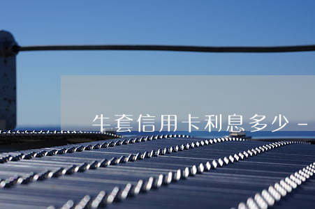 黃牛套信用卡利息多少-黃牛手續(xù)費