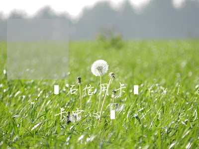 黃石信用卡協(xié)商還款 去銀行信用卡中心協(xié)商還款安全?