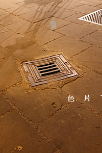 黃色片下載(黃色片下載)