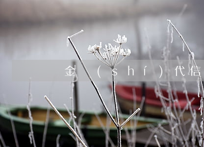 黃金時(shí)代信用卡逾期