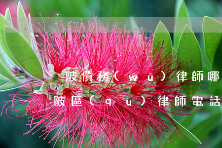 黃陂債務(wù)律師哪個(gè)好-黃陂區(qū)律師電話號碼