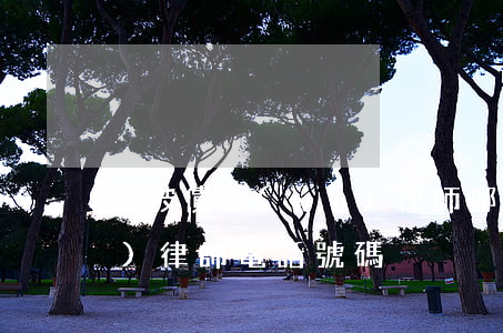 黃陂債務(wù)律師哪家好(黃陂區(qū)律師電話號碼)