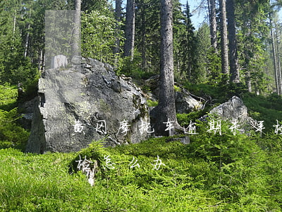 黄冈摩托车逾期未年检(黄冈摩托车逾期未年检怎么办)