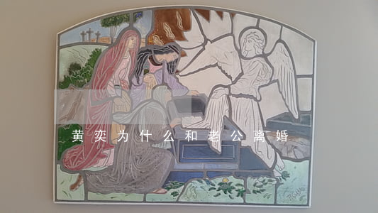 黄奕为什么和老公离婚