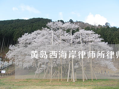 黄岛西海岸律师所律师靠谱吗(青岛黄岛律师)