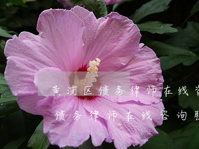 黄浦区债务律师在线咨询联系方式-黄浦区债务律师在线咨询联系方式电话