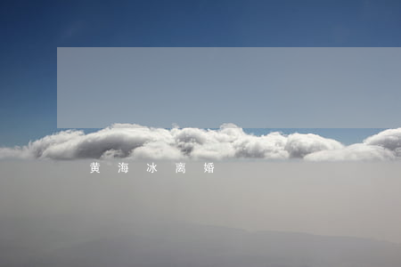 黄海冰离婚