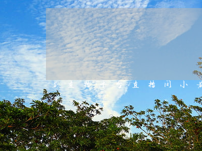 黄直播平台(直播间小黄车)