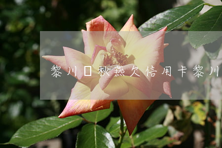 黎川趙秋燕欠信用卡(黎川趙秋燕欠信用卡)