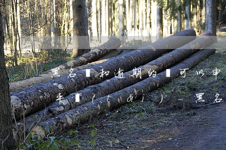黑名單和逾期的還可以申請(qǐng)的平臺(tái)-黑名單和逾期的還可以申請(qǐng)的平臺(tái)有哪些
