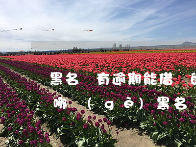黑名單有逾期能借錢的網(wǎng)貸是哪個(gè)（黑名單有逾期能借錢的網(wǎng)貸）