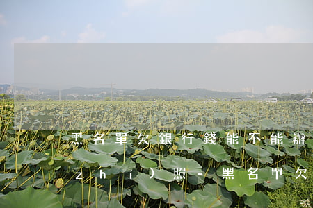 黑名單欠銀行錢能不能辦營業(yè)執(zhí)照-黑名單欠銀行錢能不能辦營業(yè)執(zhí)照呢