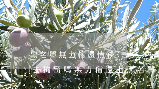 黑名單無力償還債務(wù),會(huì)去拘留嗎（無力償還上黑名單可以撤銷嗎）