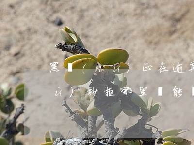 黑戶(hù)正在逾期怎么貸款嗎(黑戶(hù)秒拒哪里還能貸款)